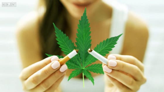 Can CBD Help You Quit Smoking