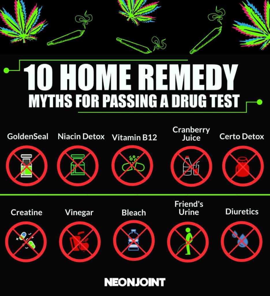 Home remedy myths for passing a drug test