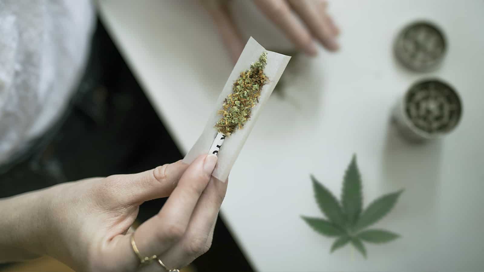 Guide to spliffs and how to roll a spliff