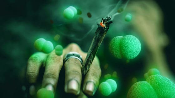 COVID-19 Advice: Sharing Weed, Not Spreading Germs